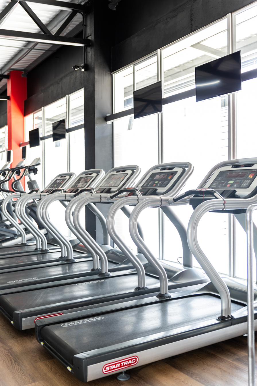 Área cardiovascular con bandas caminadoras