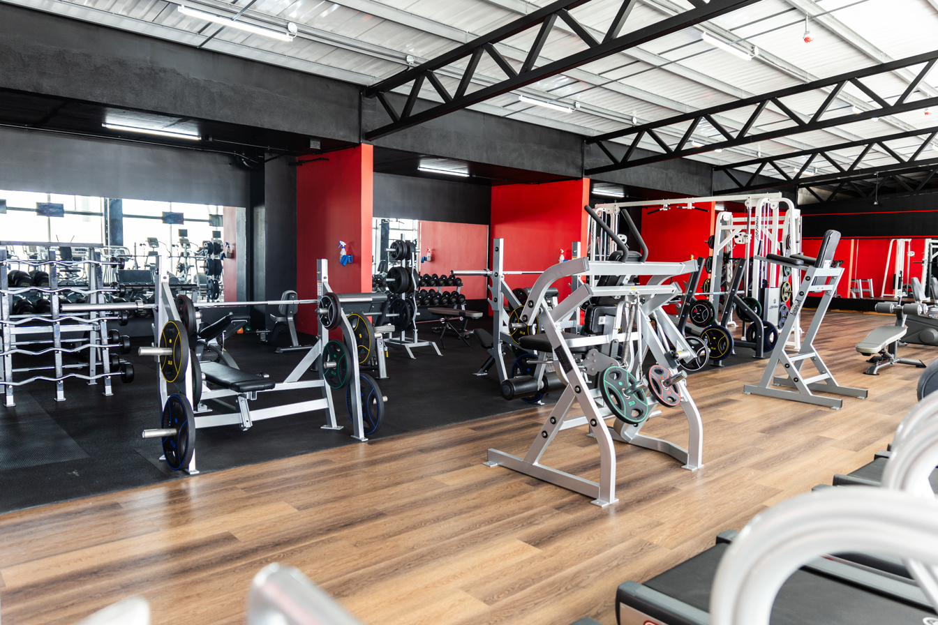 Área de peso libre Sport Gym